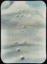 Image of Tracks of Polar Bear